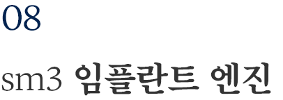 sm3 임플란트 엔진